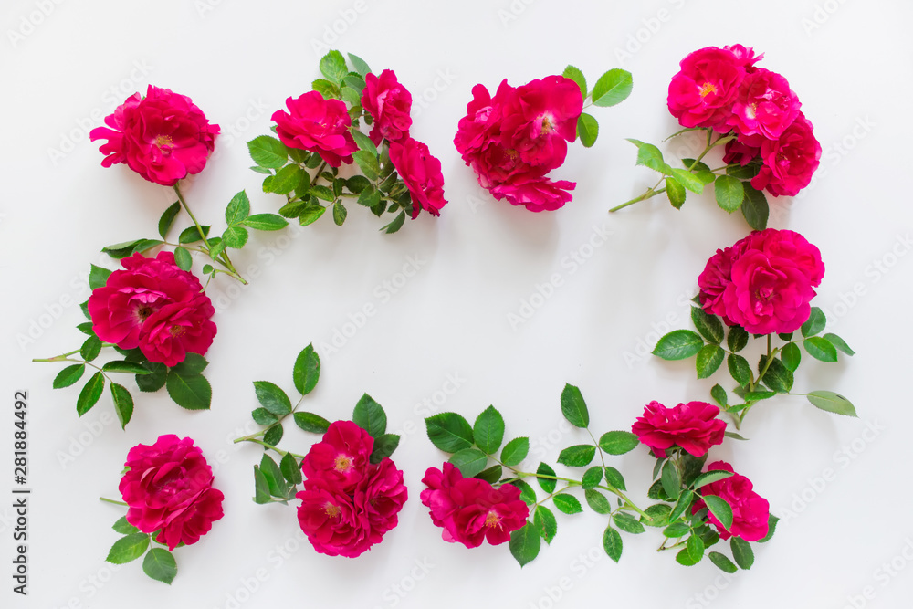 Wild red tea roses arranged in circle on white background. Photo with copy blank space.