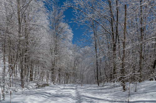 Winter snow covered trail landscape