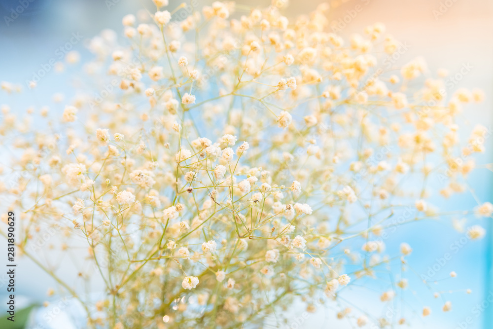 Closeup photo of a bouquet of flowers There is a space for text. Closeup photo of a bouquet of flowers There is a space for text.