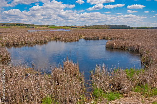 Marshland in the Farmland © wildnerdpix