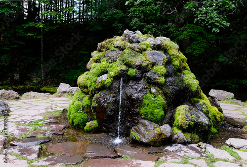 Small water springs flowing out from a big rock or stone with moist green moss  coverintg ,the spring inside the forest ,be plentiful vironment clear water in Japan. photo