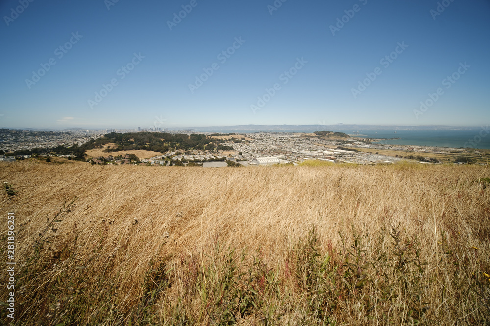 Tall grass with scenic view of the city