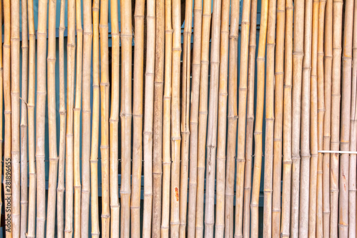 A background of faux bamboo sticks