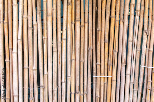 An urban bamboo fence background