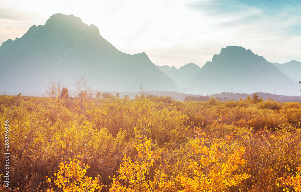 Obraz premium Autumn in Grand Teton