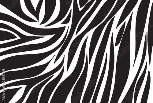 zebra pattern. vector background	