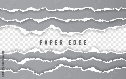 Torn paper edge. Ripped squared paper strips. Vector illustration