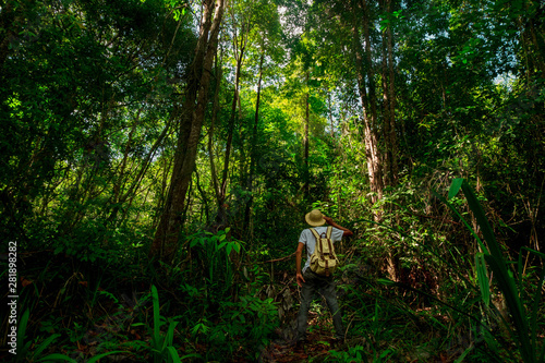 a man Traveler with backpack hiking Travel Lifestyle concept forest on background summer journey vacations outdoor in tropical forest of Thailand,Phang nga,koh yao yai