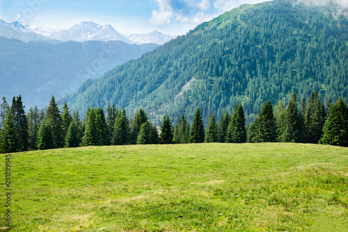Pasture Grass Field In Austrian Alps