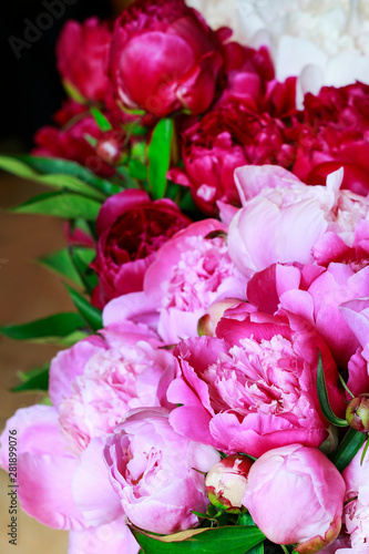 Pink peonies background.