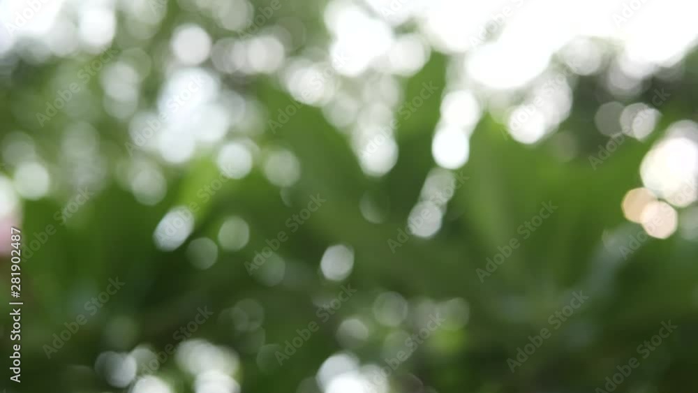 spring bokeh background spring bokeh background