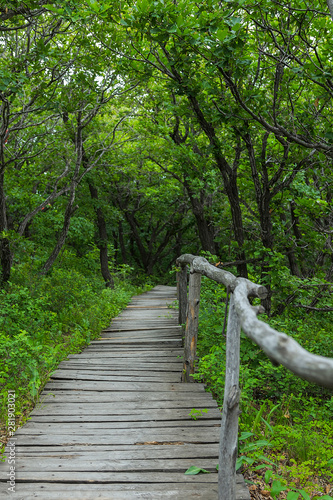 Jilin Province Hang Kettle Tourist Resort Plank Road
