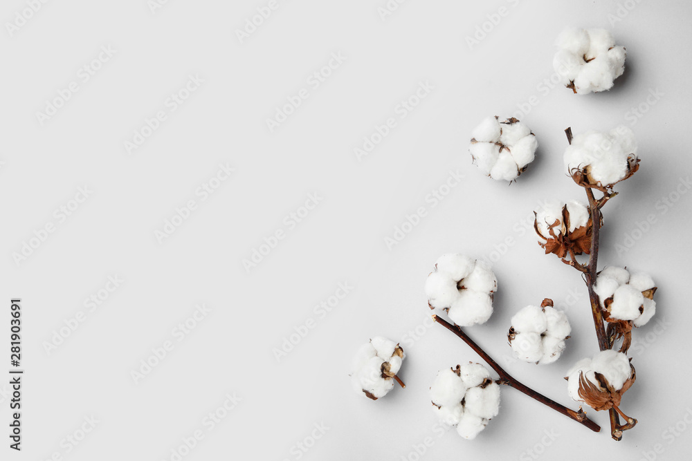 Flat lay composition with cotton flowers on light grey background. Space for text