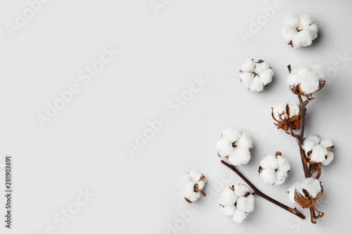 Flat lay composition with cotton flowers on light grey background. Space for text photo