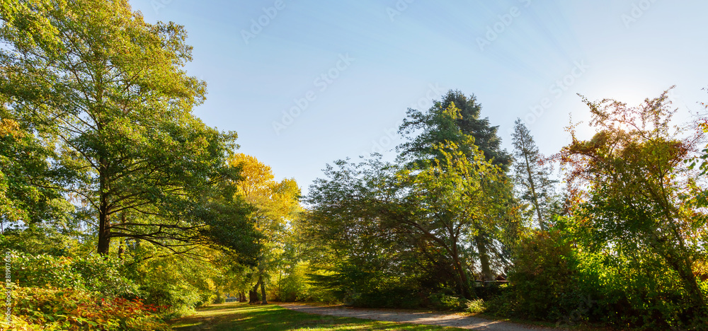 Panorama im Herbst von einem Wald im Sonnenschein Panorama im Herbst von einem Wald im Sonnenschein