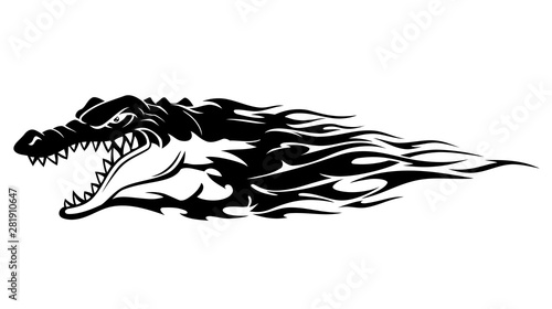Crocodile Head Flame Abstract