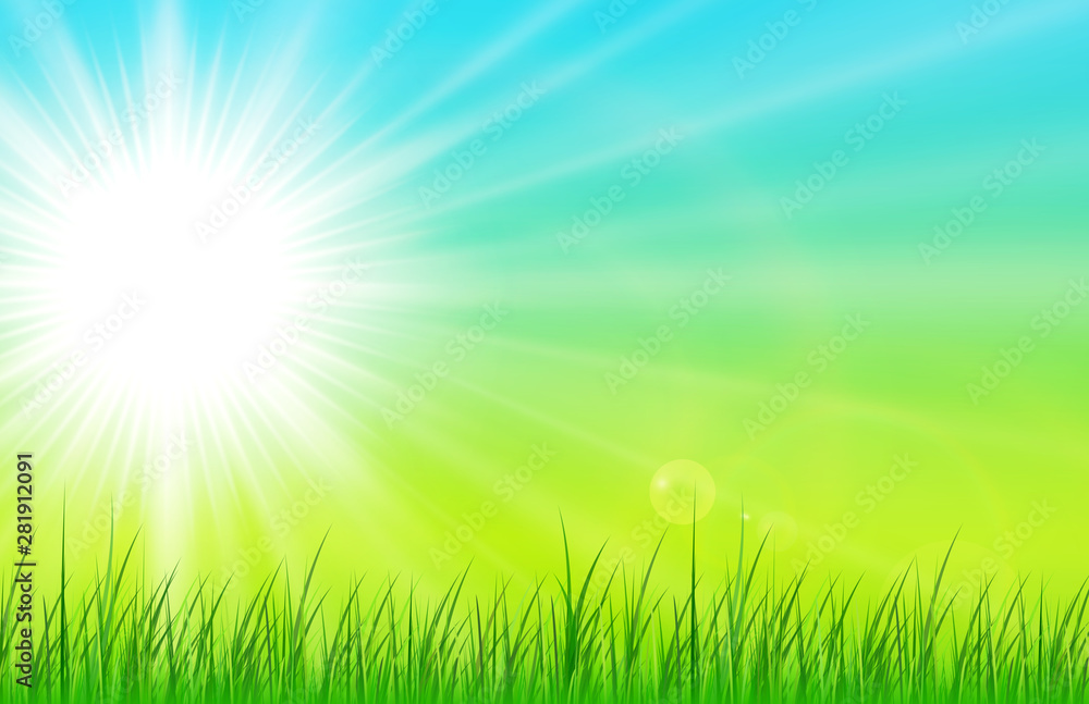 Sunny natural background, summer sunny green vector illustration.