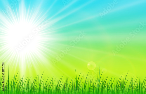Sunny natural background, summer sunny green vector illustration.