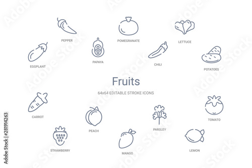fruits concept 14 outline icons