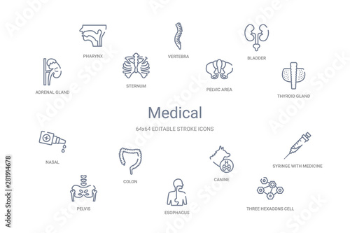 medical concept 14 outline icons