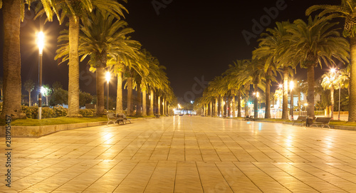 Street of Spanish city at night with palms and lights