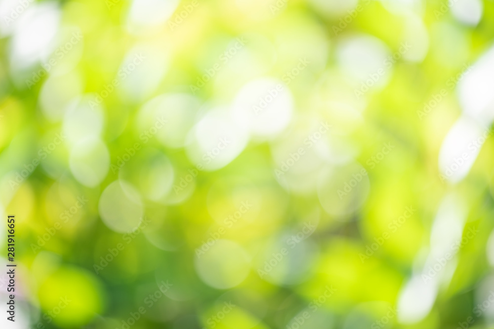 Abstrct defocused colorful green yellow blurred bokeh background Abstrct defocused colorful green yellow blurred bokeh background