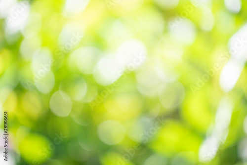 Abstrct defocused colorful green yellow blurred bokeh background