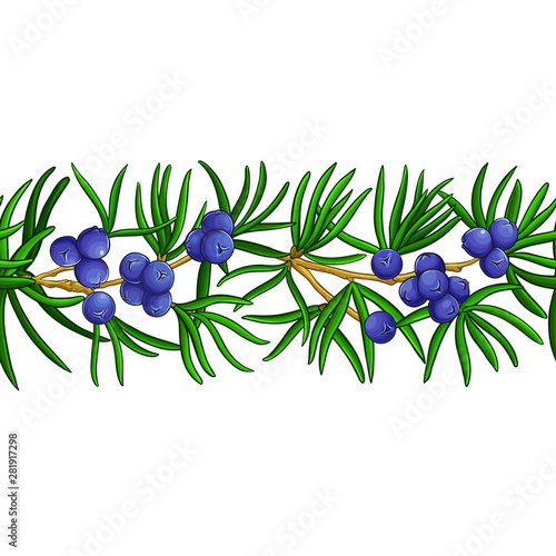 juniper vector pattern
