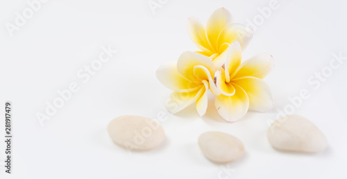 Beautiful yellow Plumeria flower and white zen stone with space for text spa concept