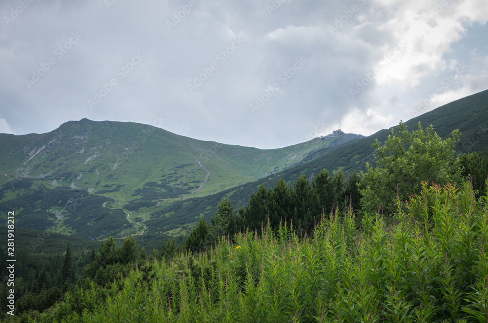 Fototapeta premium Beautiful landscape of Gasienicowa Valley in June. Tatra Mountains. Poland.