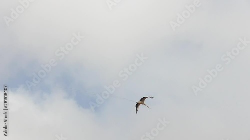 Stork with attached thereto shiny ribbon quickly flying through the sky