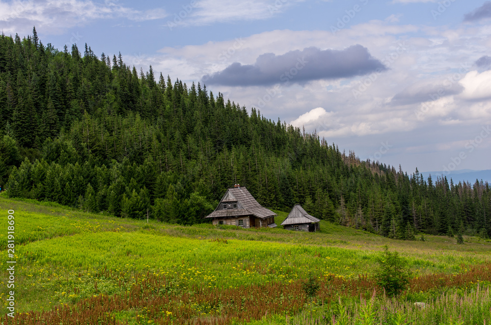 Huts in Gasienicowa Valley in June. Tatra Mountains. Poland.