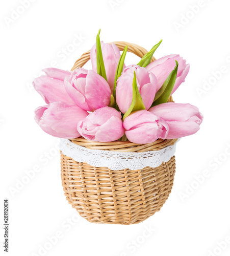 Pink tulips flowers in watt...