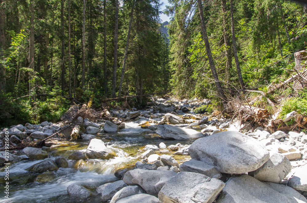 Roztoka Stream in Roztoka Valley. Tatra National Park. High Tatras Carpathian Mountains. Poland Roztoka Stream in Roztoka Valley. Tatra National Park. High Tatras Carpathian Mountains. Poland