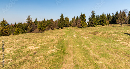 springtime meadow with trees and clear sky above