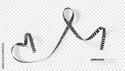 Carcinoid Cancer Awareness Month. Zebra Stripe Color Ribbon Isolated On Transparent Background. Vector Design Template For Poster.