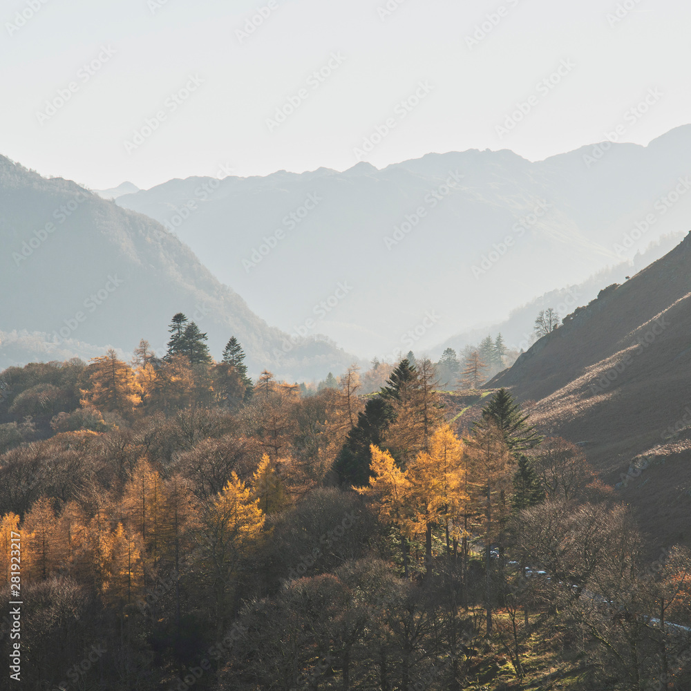 Beautiful Autumn Fall landscape image of the view from Catbells in the Lake District with vibrant Fall colors being hit by the late afternoon sun
