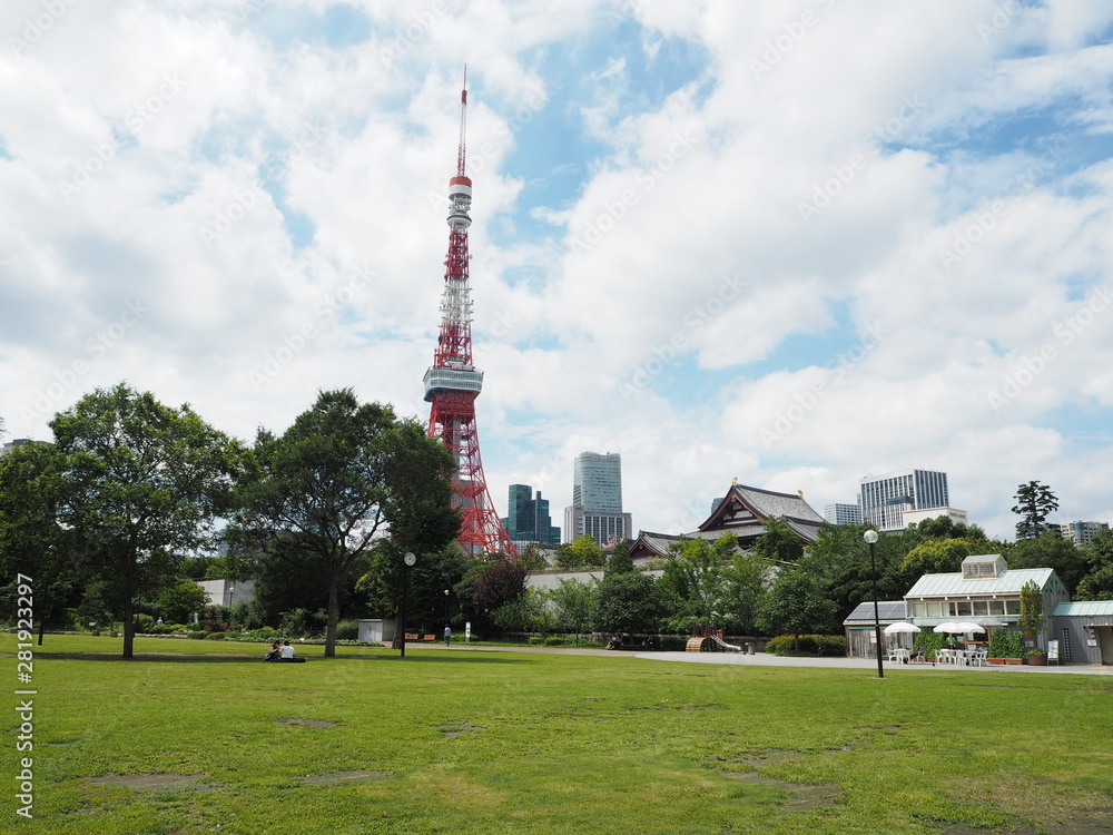 Obraz premium the Tokyo tower in Japan