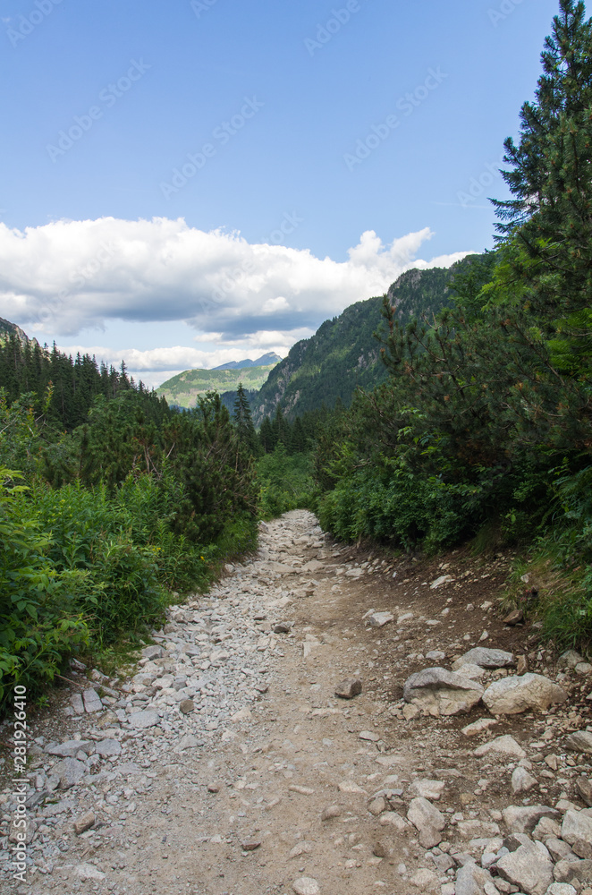 Landscape in Roztoka Valley on the way to Polish Five Lakes Valley.Poland. Landscape in Roztoka Valley on the way to Polish Five Lakes Valley.Poland.