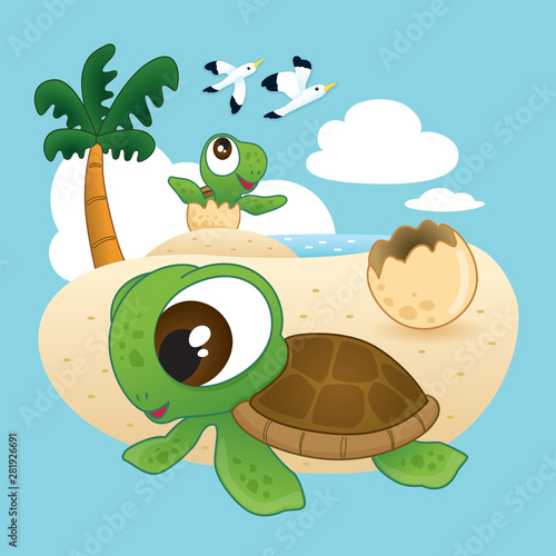 Little sea turtle hatching from egg, Happy time of little sea turtle.