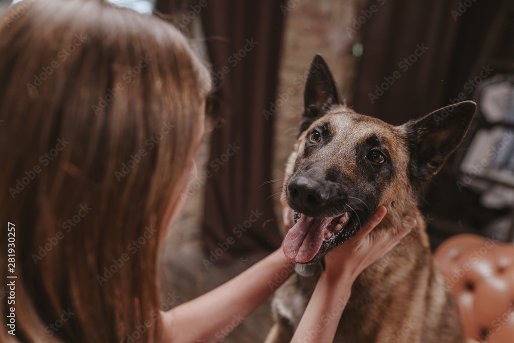 Happy young dog sitting on the bed with girl. Puppy playing at home. Pet care concept Happy young dog sitting on the bed with girl. Puppy playing at home. Pet care concept