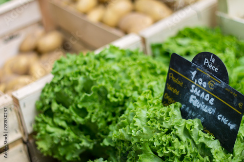 Lettuce salad on a french market stall with price tag