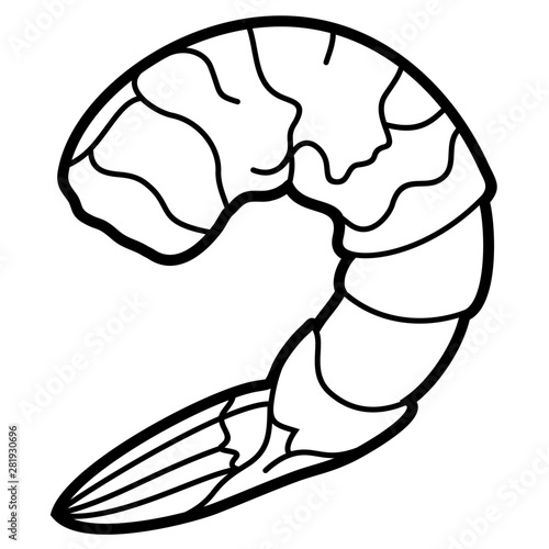 Shrimp