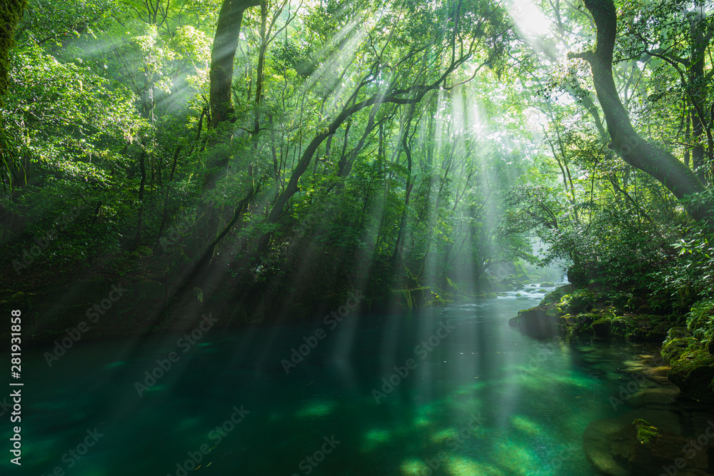 Obraz premium 菊池渓谷