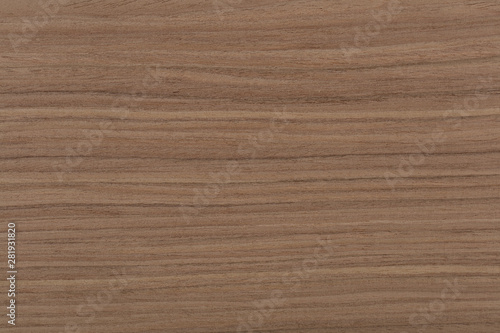 New awesome nut veneer background in grey color. High quality texture in extremely high resolution. 50 megapixels photo.