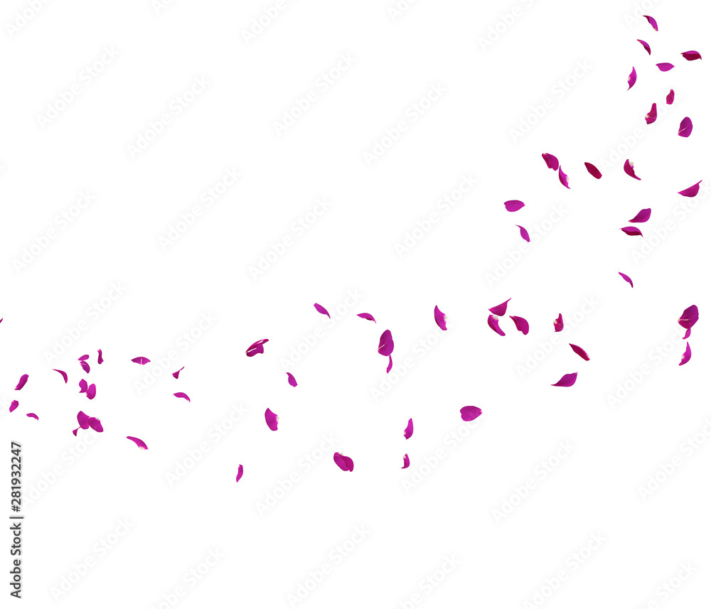 Violet rose petals fly in a circle. The center free space for Your photos or text