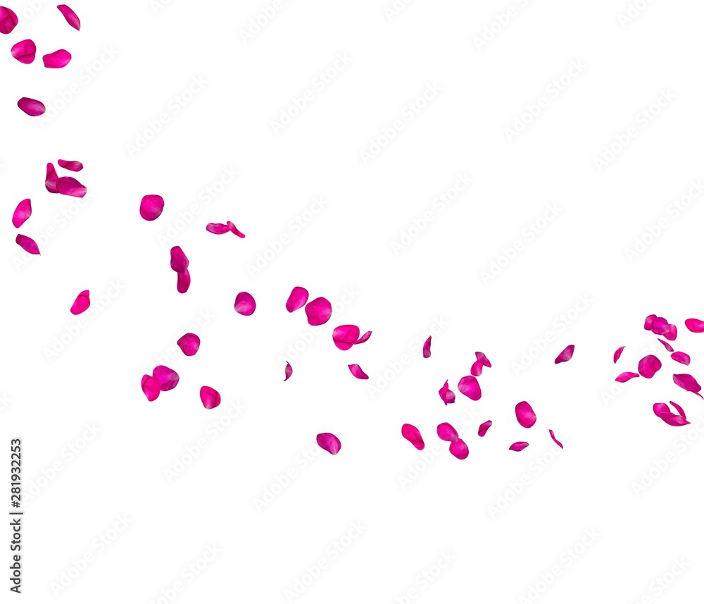 Violet rose petals fly in a circle. The center free space for Your photos or text
