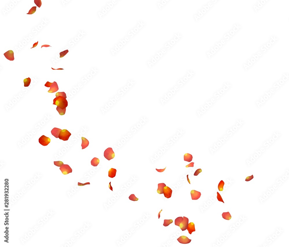 Orange rose petals fly in a circle. The center free space for Your photos or text Orange rose petals fly in a circle. The center free space for Your photos or text