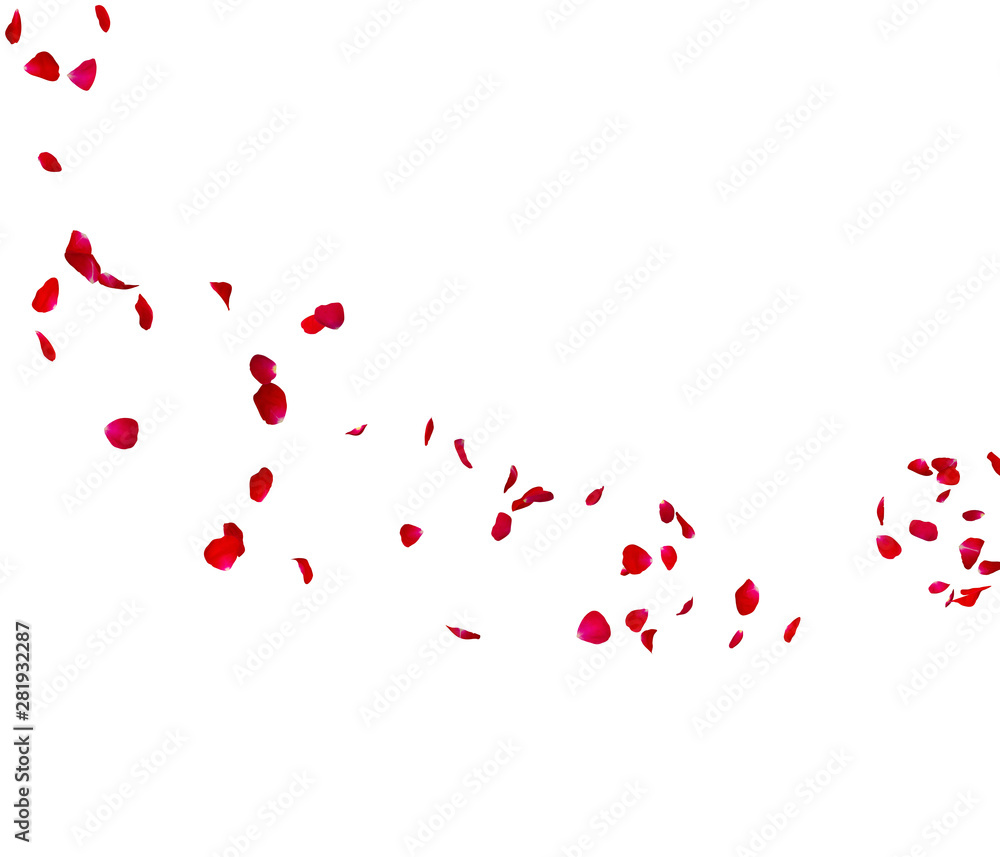 Red rose petals fly in a circle. The center free space for Your photos or text Red rose petals fly in a circle. The center free space for Your photos or text