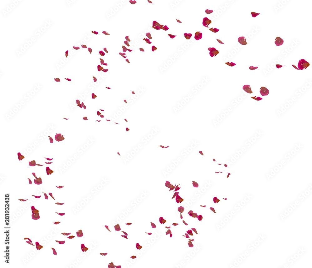 Red rose petals fly in the air